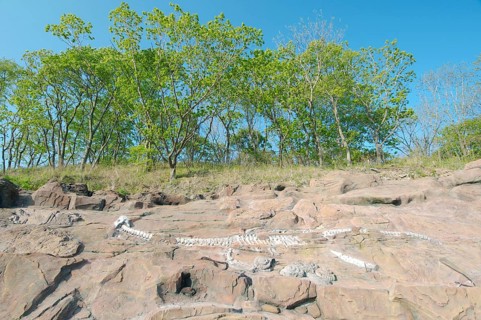 Sculpture