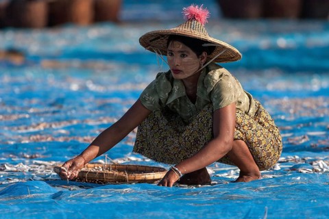 Burmese woman with straw hat and Thanaka paste in the face