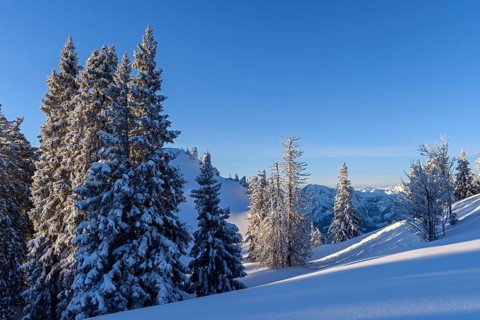 Winter landscape at Kasberg