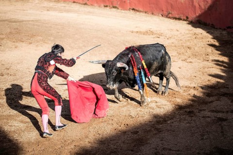 Torero giving the the death blow