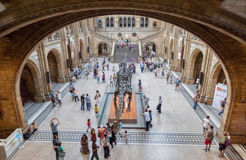 Great entrance hall with dinosaur skeleton