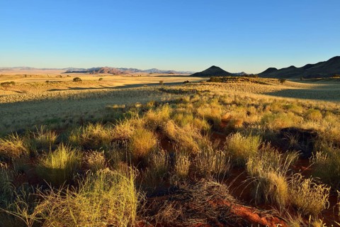 View over NamibRand Nature Reserve
