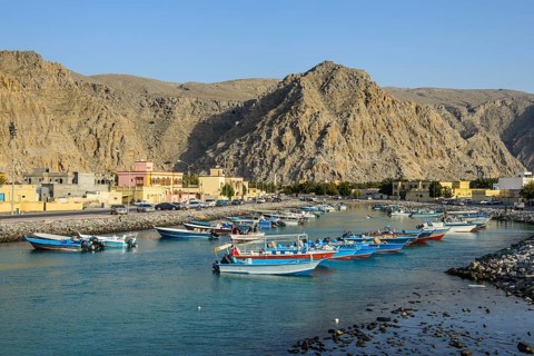 Fishing boats in the harbour