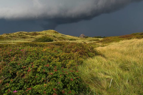 Dramatic storm clouds over dunes