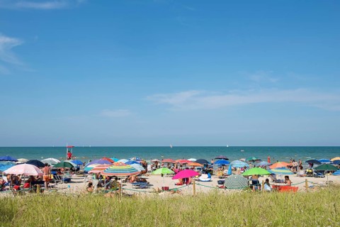Sea and a sandy beach with sunshades