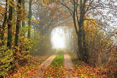 Autumnal view of Marschbahndamm road