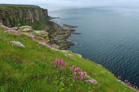 Dunnet Head