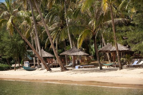 Beach with coconut trees