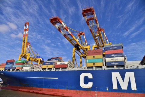 Container ship and gantry cranes