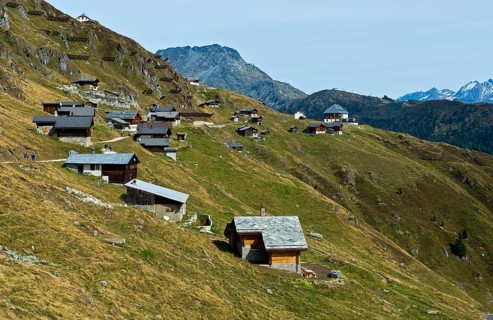 Mountain pasture
