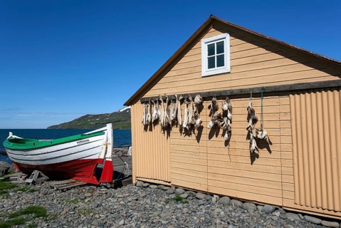 Fisherman's hut with boat and the sea
