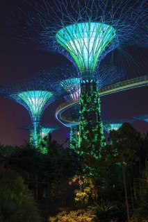 Supertrees