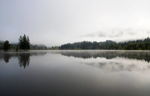 Morning fog