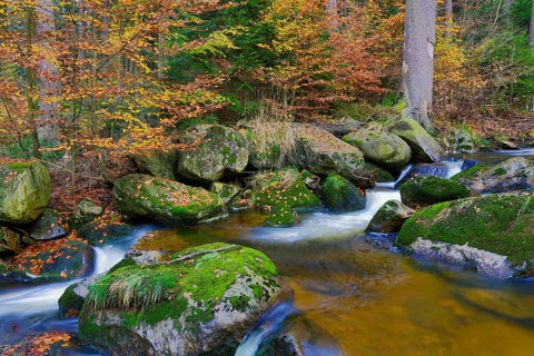 Ilse mountain stream