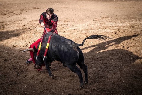 Torero shortly before the death blow