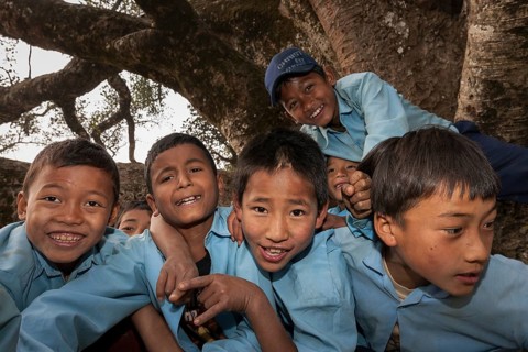 Nepalese students wearing school uniforms posing on a tree