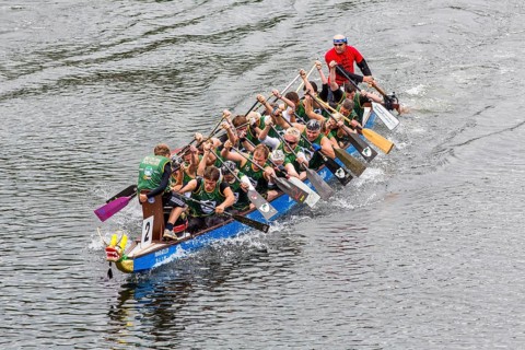 Dragon boat regatta