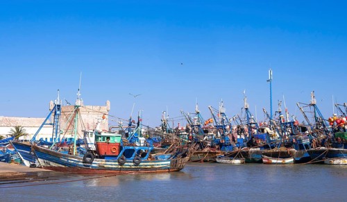 Fishing boats in the port of Essaouira