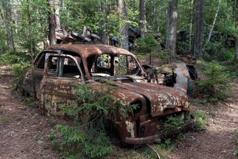 Auto graveyard in the forest