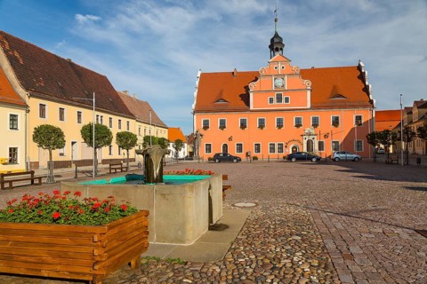 Fountain in the market square with the Town Hall