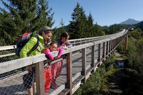 Woman and two girls on the treetop walk