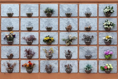 Urn-graves in the cemetery