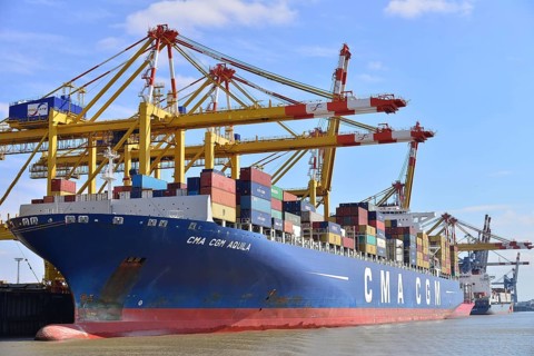Container ship and gantry cranes