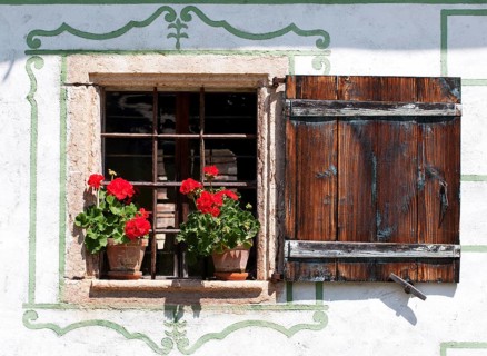 Window with geraniums