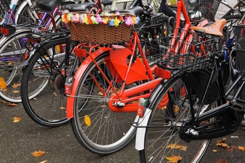 Row of parked bicycles