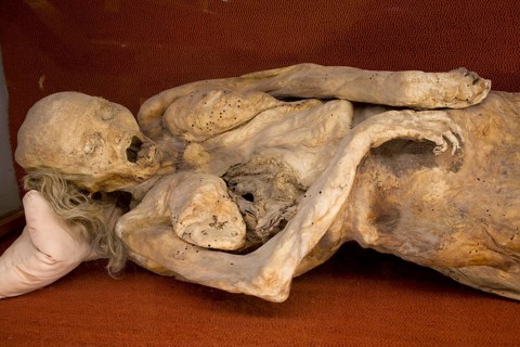 Mummy in the Mummies' Museum