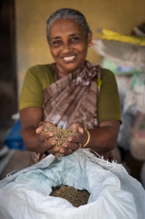 Woman holding Pokkali rice in her hands