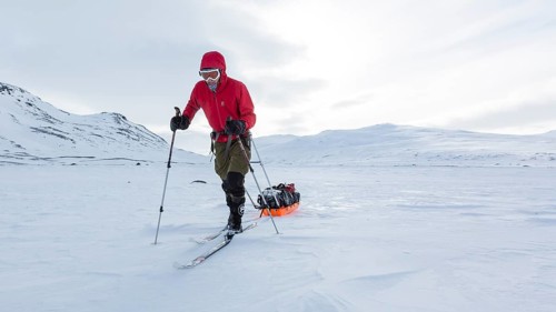 Ski tourers with Pulka in the snow