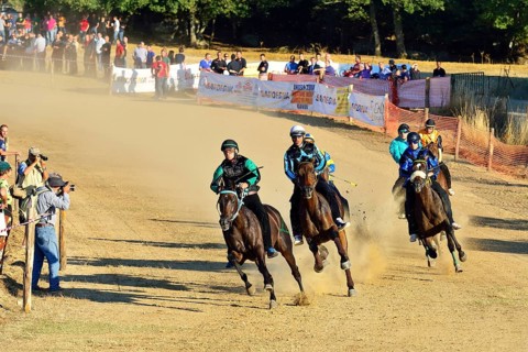 Wild horse race without saddle at the Su Palu de Sa Itria Gavoi festival