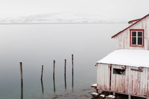 Lakeside cabin
