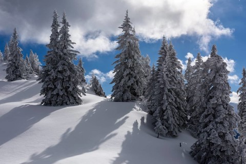Winter landscape at Kasberg