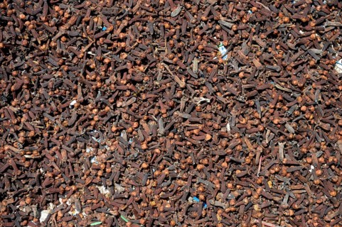Cloves (Syzygium aromaticum)