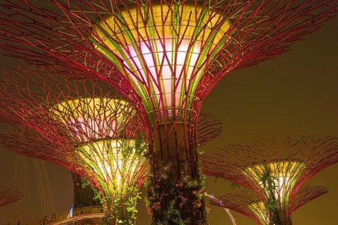 Supertrees