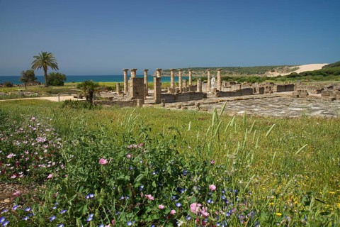 Roman ruins of Baelo Claudia near Bolonia