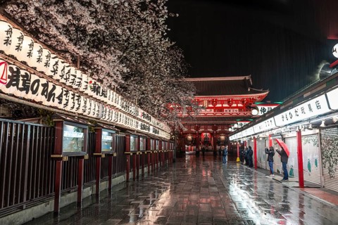 Night shot