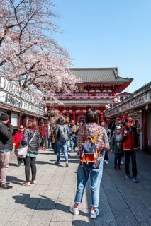 Tourists on the way to Hozomon Gate