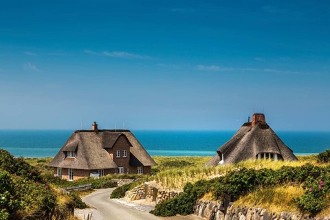 Thatched Frisian houses in the dunes