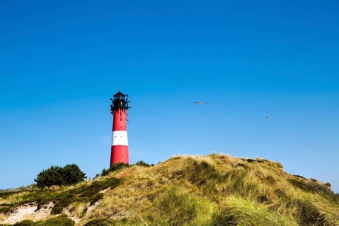Dunes and lighthouse Hornum