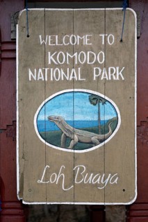 Sign depicting a komodo dragon