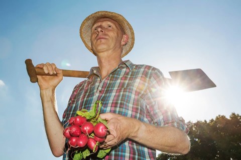 Gardener