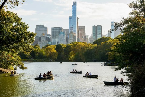 Rowing Boats on The Lake