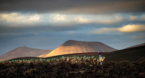 Caravan