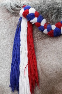 Horse's mane decorated with a plait in the Dutch national colours