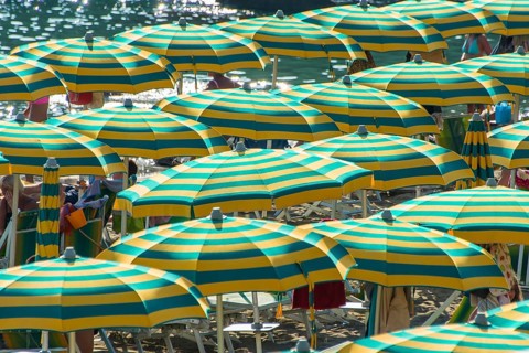 Rows of parasols on the beach