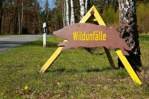 Sign with the German word ""Wildunfalle""