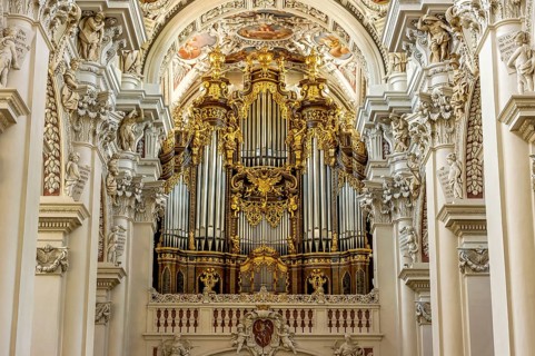 Organ